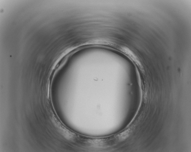 X0000080671276200612301351