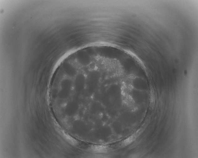 X0000080671278200612301351