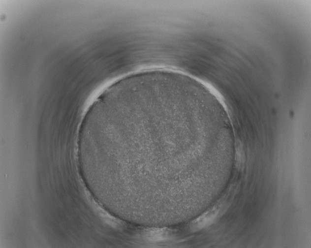 X0000080671279200612301351