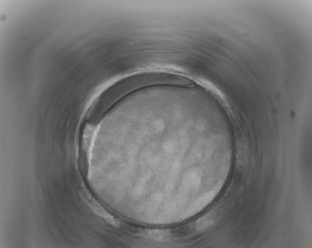 X0000080671280200612301351