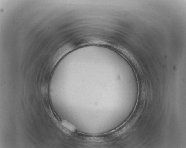 X0000080671281200612301351