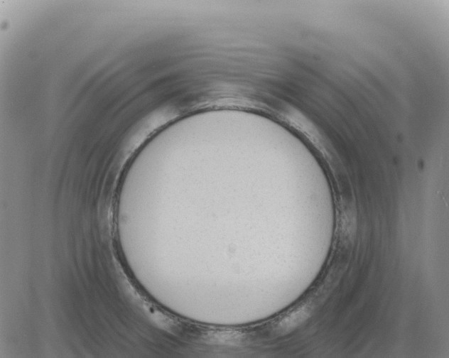 X0000080671282200612301351