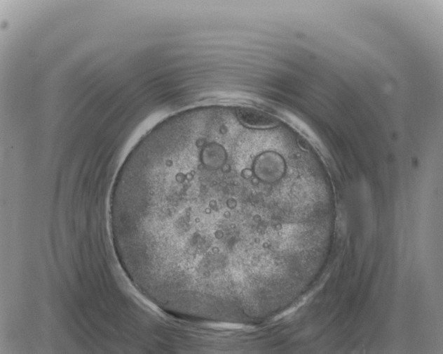 X0000080671283200612301351