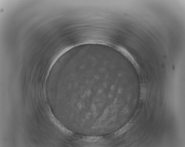 X0000080671284200612301351