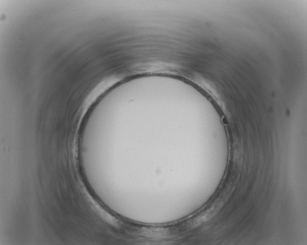 X0000080671285200612301351