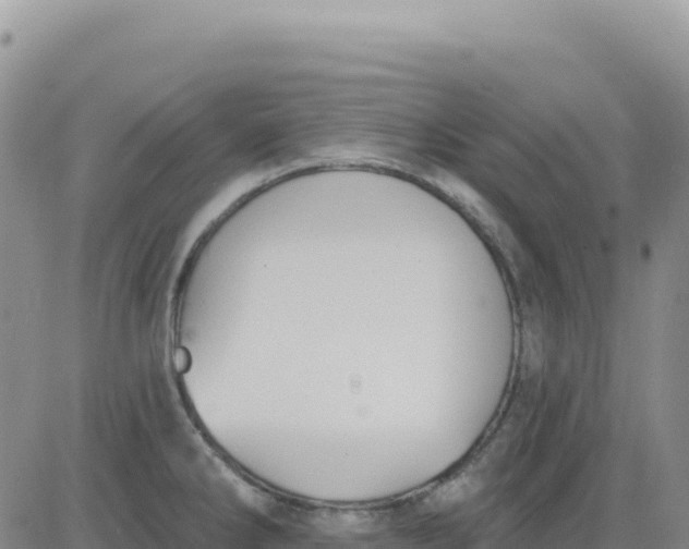 X0000080671286200612301351