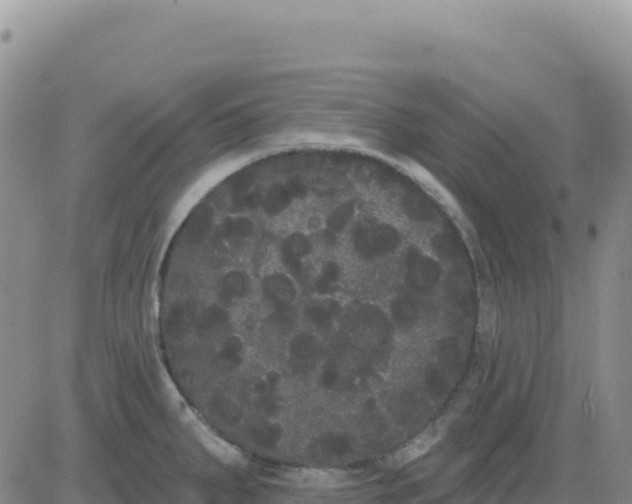 X0000080671287200612301351