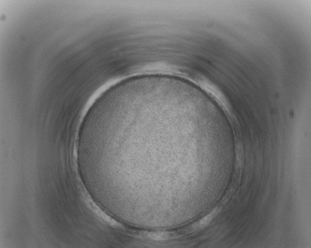 X0000080671288200612301351