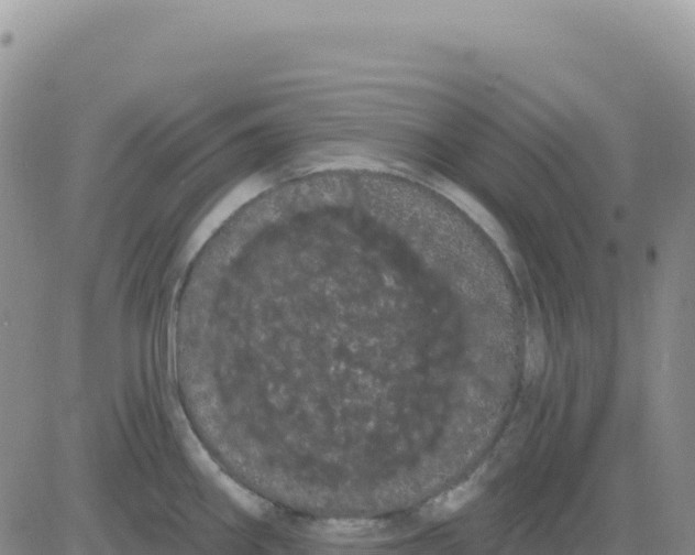 X0000080671290200612301351