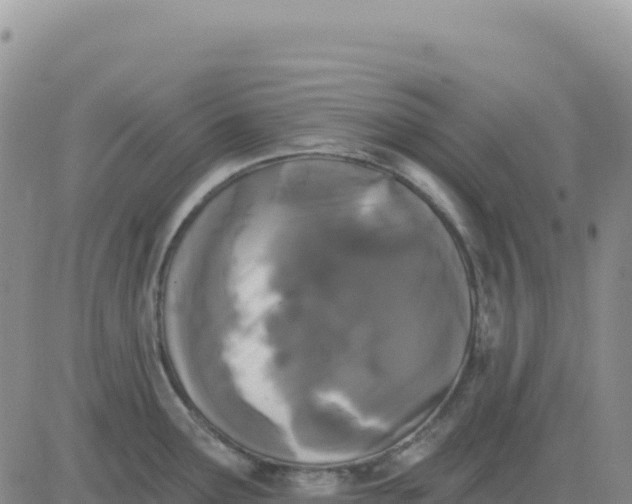 X0000080671291200612301351