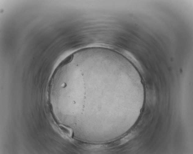 X0000080671292200612301351