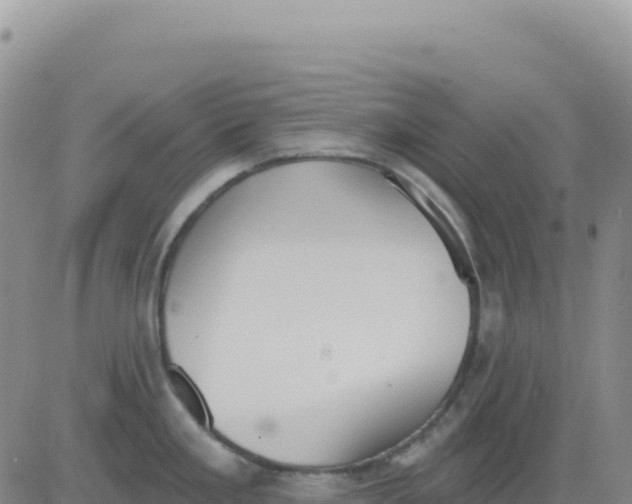 X0000080671293200612301351