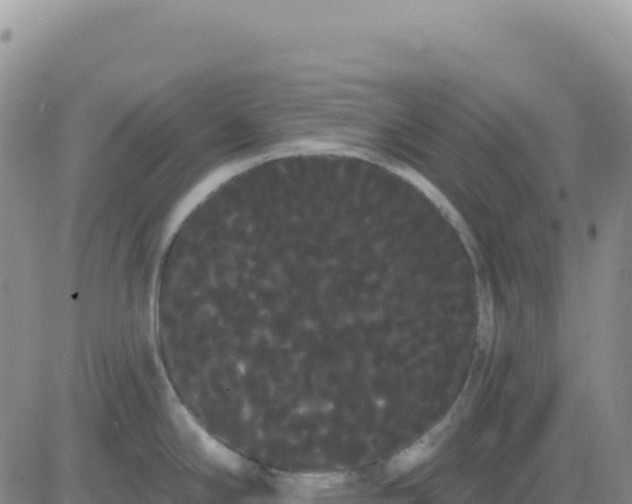 X0000080671294200612301351