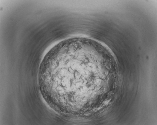 X0000080671295200612301351