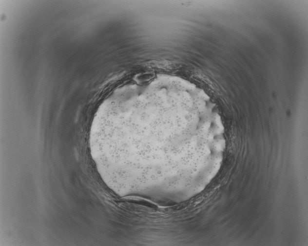 X0000080671297200612301350