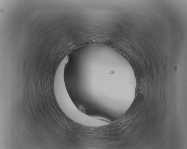 X0000080671298200612301350