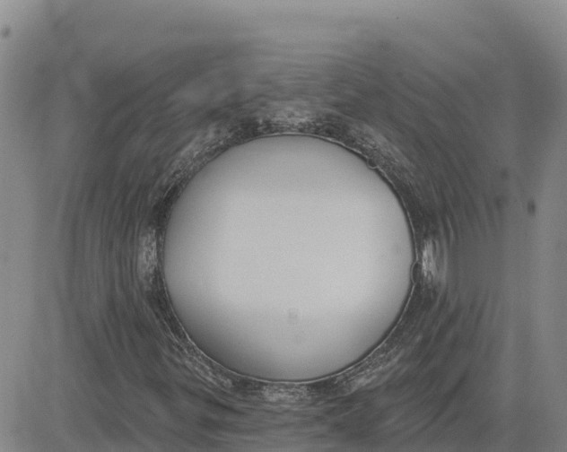 X0000080671299200612301350