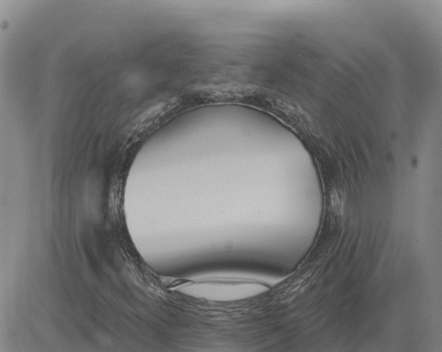 X0000080671300200612301350