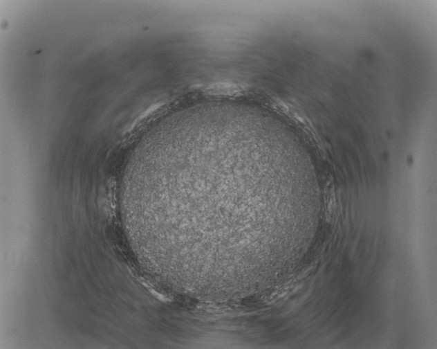 X0000080671301200612301350