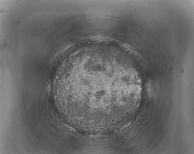 X0000080671302200612301350