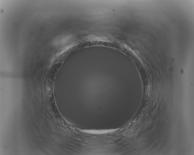 X0000080671303200612301350