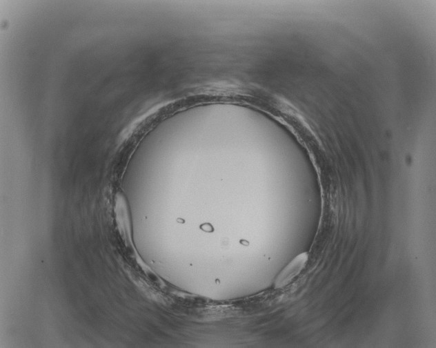 X0000080671304200612301350