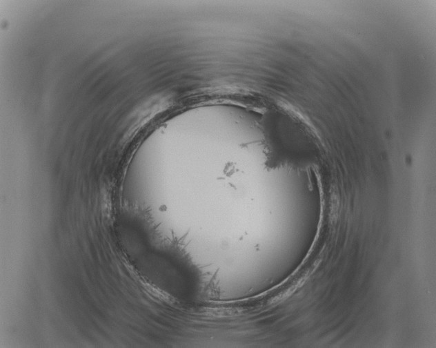 X0000080671305200612301350