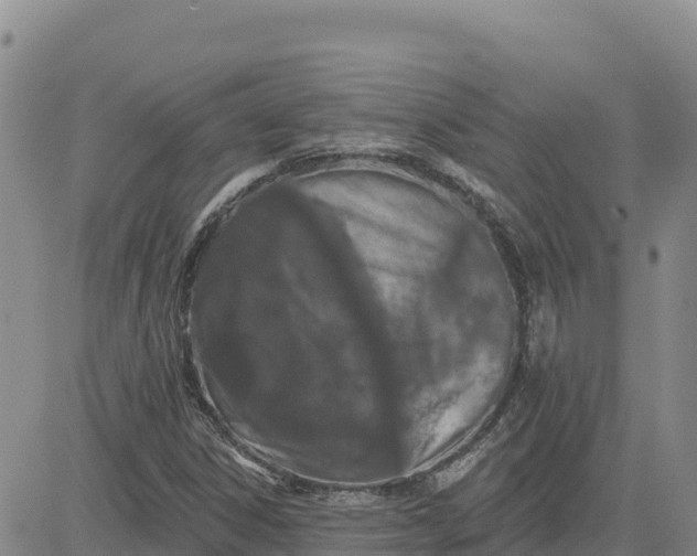 X0000080671306200612301350