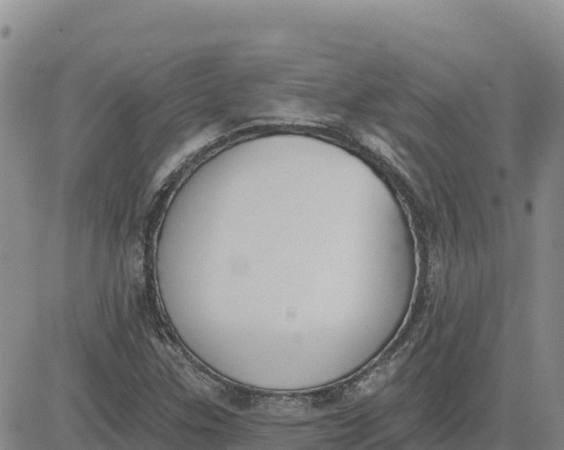 X0000080671307200612301350