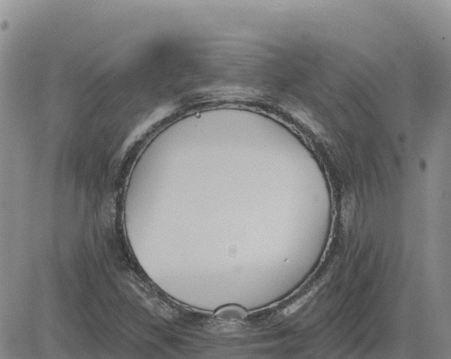 X0000080671309200612301350