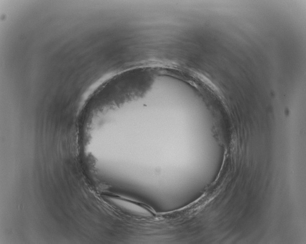 X0000080671310200612301350