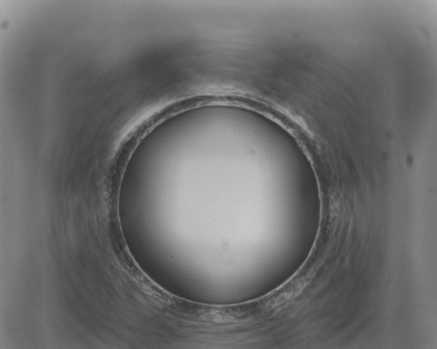 X0000080671311200612301350