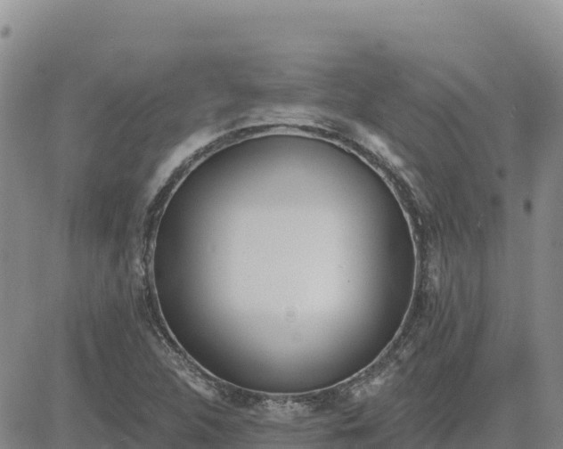 X0000080671312200612301350