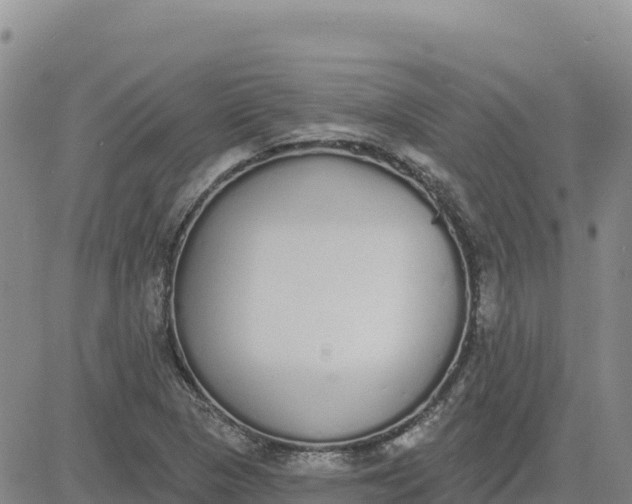 X0000080671313200612301350