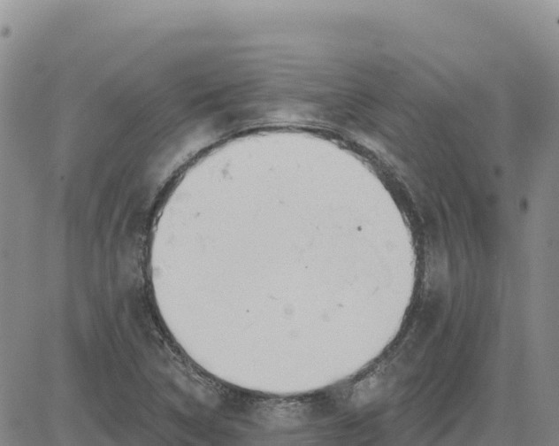 X0000080671314200612301350