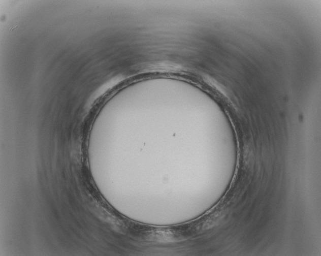 X0000080671315200612301350