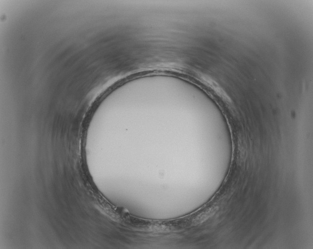 X0000080671316200612301350