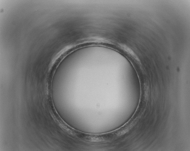 X0000080671318200612301350