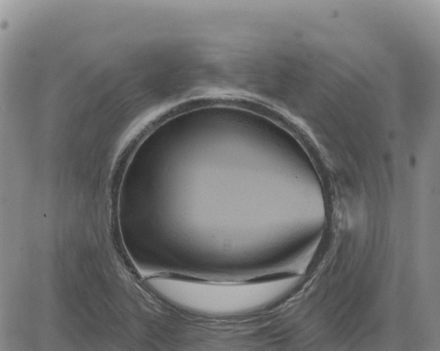 X0000080671319200612301350