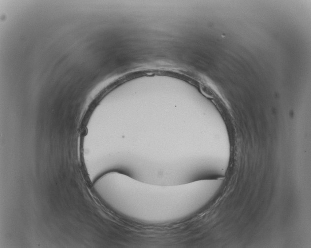 X0000080671320200612301350