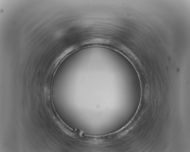 X0000080671321200612301350