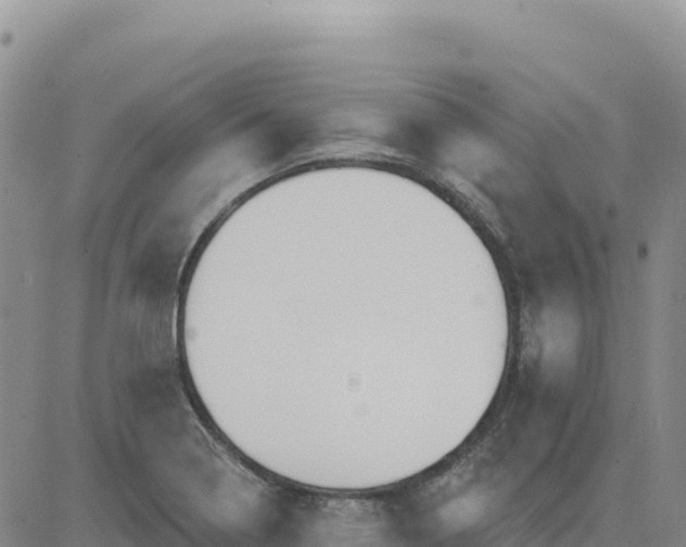 X0000080671322200612301350