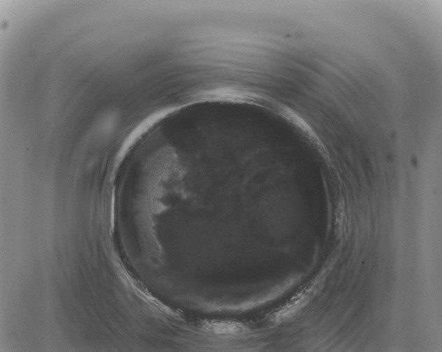 X0000080671323200612301350