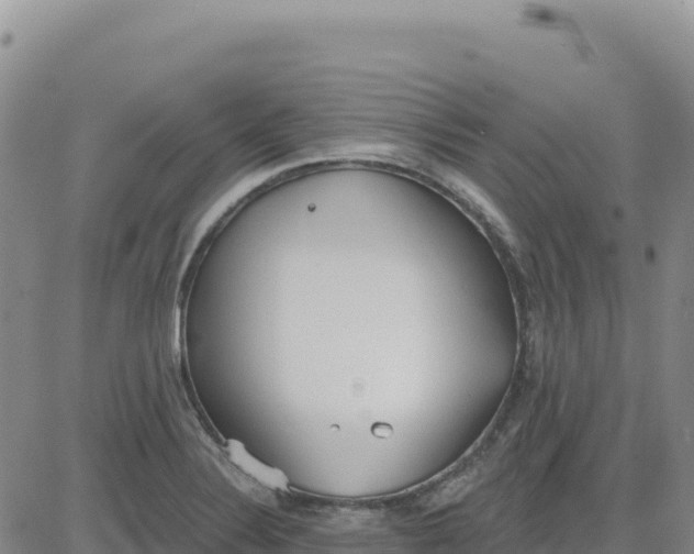 X0000080671324200612301350