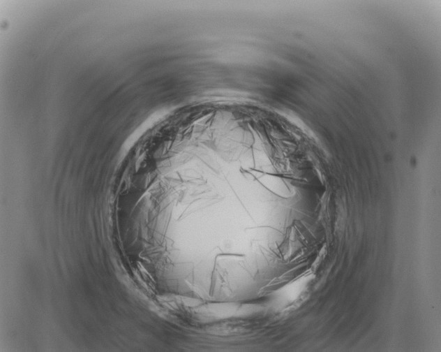 X0000080671325200612301350