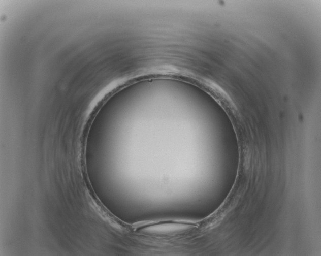 X0000080671326200612301350