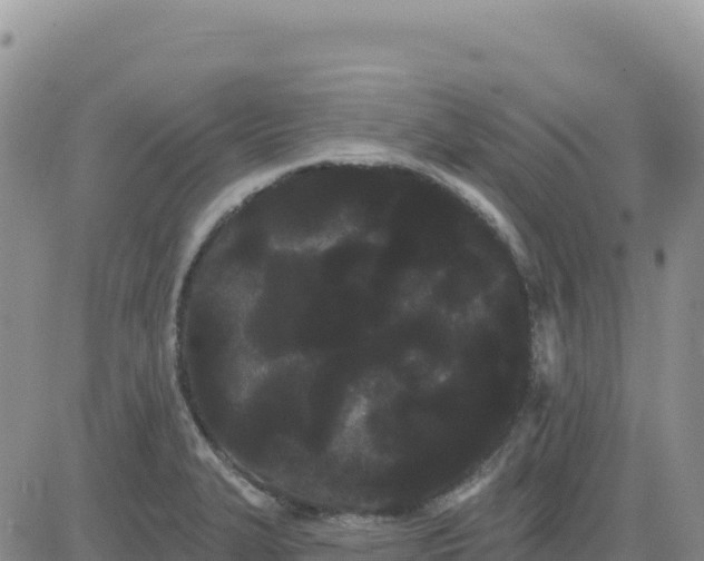 X0000080671327200612301350