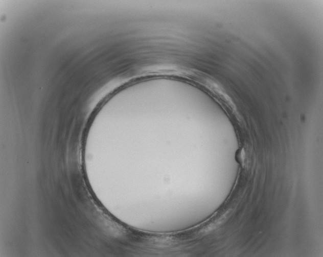 X0000080671328200612301350