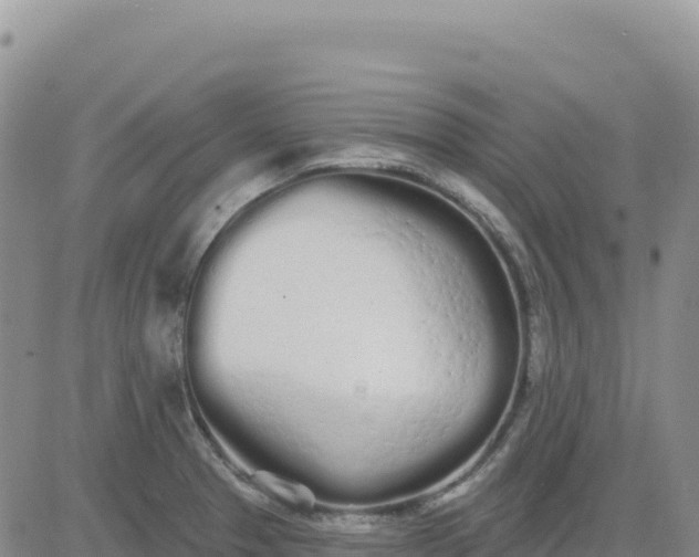 X0000080671329200612301350