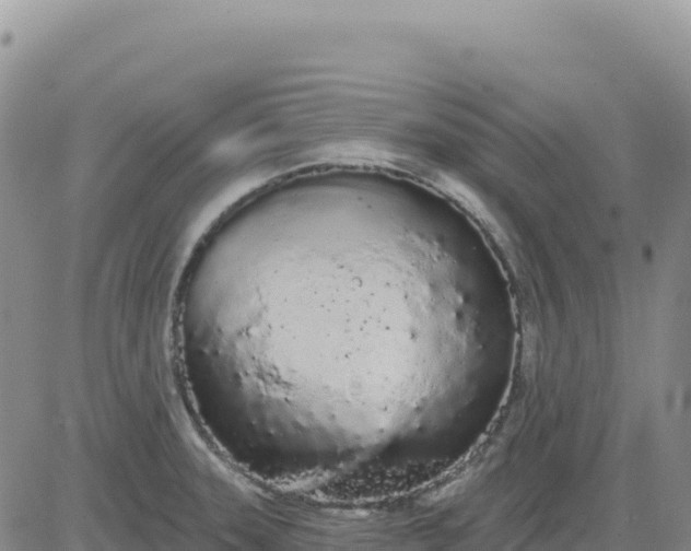 X0000080671331200612301350